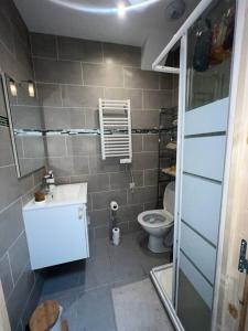 een kleine badkamer met een toilet en een wastafel bij Studio confortable et fonctionnel proche gare in Méru