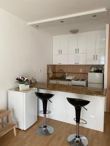 Cuisine ou kitchenette dans l'établissement Apartman Ana 2