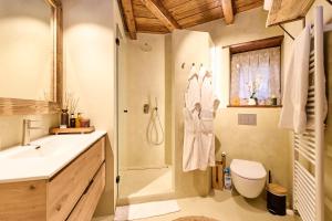 a bathroom with a shower and a sink and a toilet at Pleta del Tarter 31A Lodge & SPA in Canillo