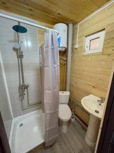 uma casa de banho com um WC, um chuveiro e um lavatório. em Дом Отдыха Айзада em Qabanbay