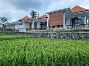 ein Haus mit einem Reisfeld davor in der Unterkunft Villa Padang Santhi in Ubud