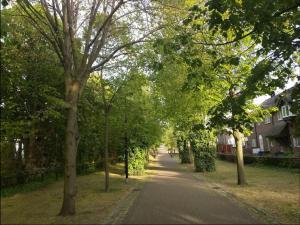 a tree lined street in a residential neighborhood at Cosy house close to London Bridge in London