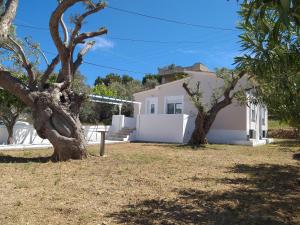 a white house with two trees in the yard at Skala Central House in Skala