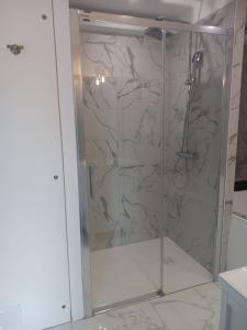 y baño con ducha y puerta de cristal. en Touraco, en Villars-les-Dombes