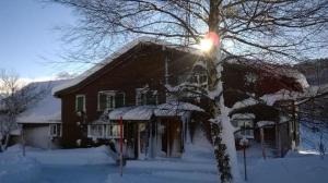 una casa con un árbol en la nieve en Tanzhus en Wildhaus