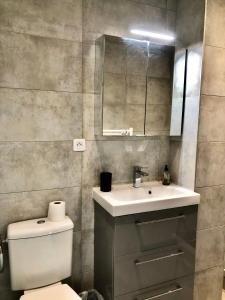 La salle de bains est pourvue de toilettes, d'un lavabo et d'un miroir. dans l'établissement Charmant Studio Indépendant Le Broc avec parking privé, à Le Broc