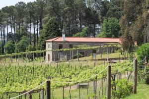 an old building in a field with a vineyard at Casa da Eira by Quantique in Amares