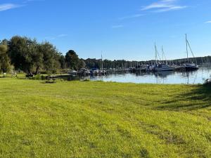 een veld van groen gras naast een rivier met boten bij Ferienwohnung am Schwielochsee - b45298 in Schwielochsee