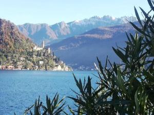 a view of a large body of water with mountains at Il Cavallino, sul lago Ceresio in Brusimpiano