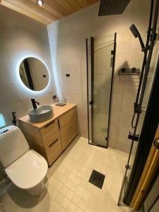 a bathroom with a toilet and a sink and a shower at Velhonkuru II, 1 bedroom, loft and sauna in Äkäslompolo +5 photos