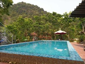 a swimming pool with a mountain in the background at Phong Nha Magic Fingers Homestay and Spa in Phong Nha
