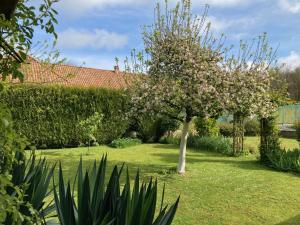 a tree in the middle of a yard with pink flowers at La Source de la Liane in Menneville