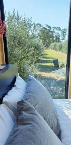 a bed with pillows sitting in front of a window at The Little Grove Retreat in West Wyalong