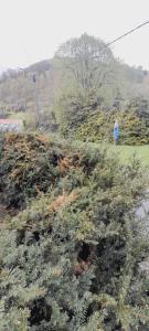 Afbeelding uit fotogalerij van Vue sur la forêt à proximité de la gare in Vielsalm