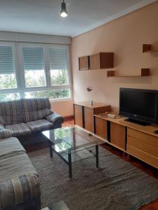 sala de estar con sofá y TV en Apartamento zona de los osos, en Santander