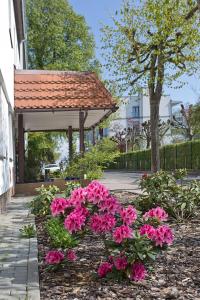 Zahrada ubytování Meduza Sopot