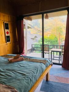eine Katze, die auf einem Bett in einem Zimmer mit Fenster liegt in der Unterkunft Plum Eco House in Sa Pa