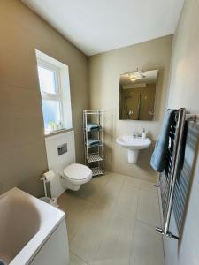 a bathroom with a toilet and a sink and a mirror at De Búrca Cottage KERRY in Brackhill