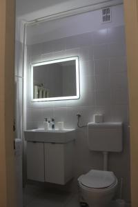 a bathroom with a toilet and a sink and a mirror at Apartman Black River in Plitvička Jezera +23 photos
