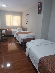 a group of four beds in a room at Hospedaje Quillabamba in Santa Teresa