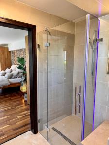 La salle de bains est pourvue d'une douche avec une porte en verre. dans l'établissement Garten Apartment am Fluss, à Eriskirch