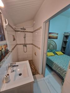 een badkamer met een wastafel, een douche en een bed bij Plézi Location F3 au bord de mer, Trois-Ilets in Les Trois-Îlets