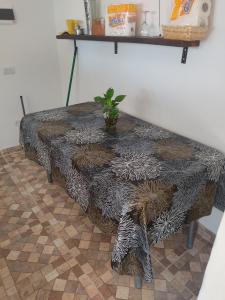 a table with a potted plant sitting on top of it at Salon para eventos o reunion empresarial in Plottier