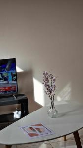 a vase of flowers on a table next to a tv at Kofinaki apartment 2 in Tycherón