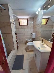 a bathroom with a sink and a toilet and a tub at Apartments Lara in Matulji