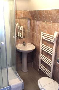 a bathroom with a sink and a shower and a toilet at Casa Hortensia in Tăşnad