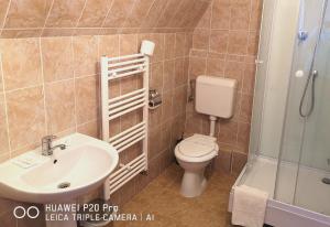 a bathroom with a toilet and a sink and a shower at Casa Hortensia in Tăşnad
