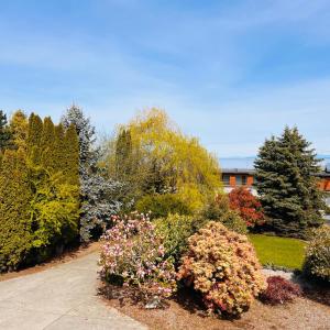 a garden with colorful bushes and trees and a building at Oceanside Manor (Beach View) in Qualicum Beach