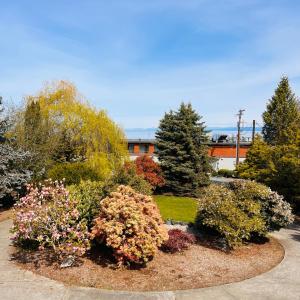 a garden with bushes and flowers in front of a building at Oceanside Manor (Beach View) in Qualicum Beach
