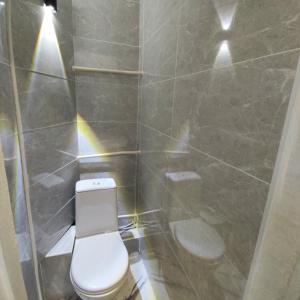 ein Bad mit einem WC und einer lichtdurchfluteten Dusche in der Unterkunft Квартира трехкомнатная в Орбите 3 на первом этаже in Almaty