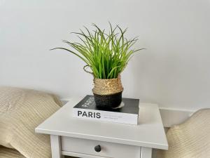 una planta sentada sobre una mesa en Casa Kevin - Hacienda Riquelme Golf Resort, en Sucina