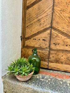 a green vase and a potted plant next to a door at HÖTEL U SANTA MARIA in Olmeto