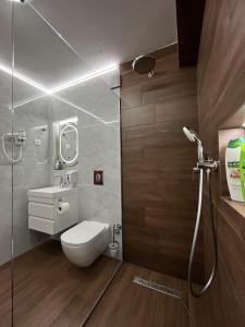 a bathroom with a shower and a toilet and a sink at Villa Dislievski in Ohrid