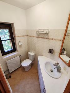 a bathroom with a white sink and a toilet at Pension Trojská in Prague