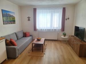 TV a/nebo společenská místnost v ubytování Apartmány Šafran Štrba
