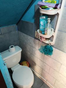 Habitación con baño pequeño con aseo. en MI CASITA VERDE, en Baños