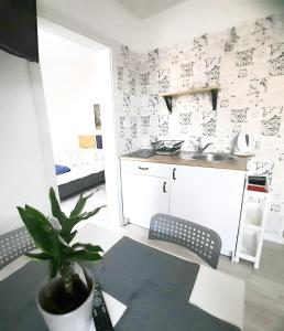 a small kitchen with a sink and a potted plant at Przy Plaży in Karwia