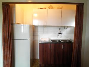 a kitchen with a white refrigerator and a sink at Central Rustic House in Žabljak