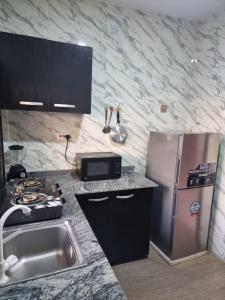 eine Küche mit einer Spüle und einem Kühlschrank aus Edelstahl in der Unterkunft Mirola Apartments in Ilorin
