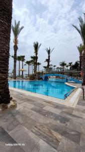 una gran piscina con palmeras en el fondo en Simos Magic Beach Hotel Apts, en Ayia Napa