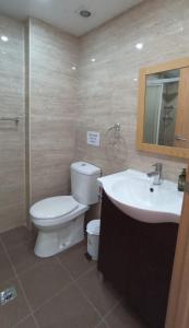 a bathroom with a toilet and a sink at Mini Apartamento de 30 mts en Chaves in Chaves