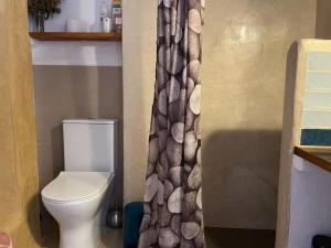 a bathroom with a toilet and a shower curtain at Acogedor y luminoso eco-estudio en Gijón in Gijón