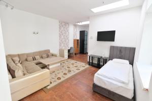ein Wohnzimmer mit einem Sofa und einem TV in der Unterkunft Mariahilf Apartment in Wien