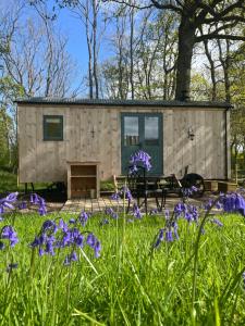 a tiny house in a garden with purple flowers at Coachroad Shepherds Huts in Petworth