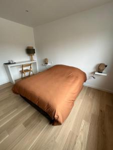 een slaapkamer met een bed met een oranje deken bij Chambre privée avec salle de bain partagée - La Brousse in Genay