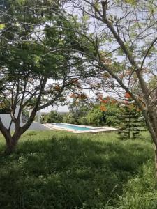A garden outside 3 bedroom vacation house with large pool